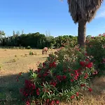 Dos Vientos